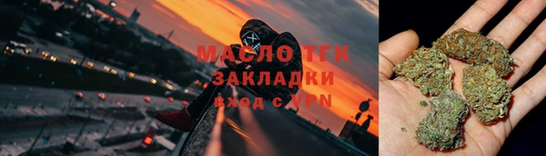 прущие грибы Надым
