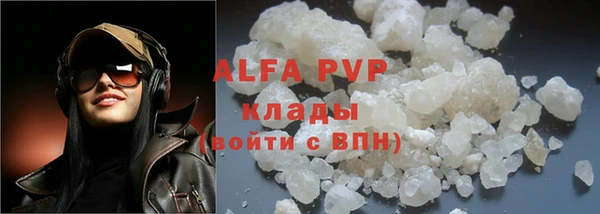 прущие грибы Надым