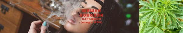сатива Михайловск