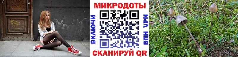 Псилоцибиновые грибы мицелий  МЕГА ссылка  Воронеж 