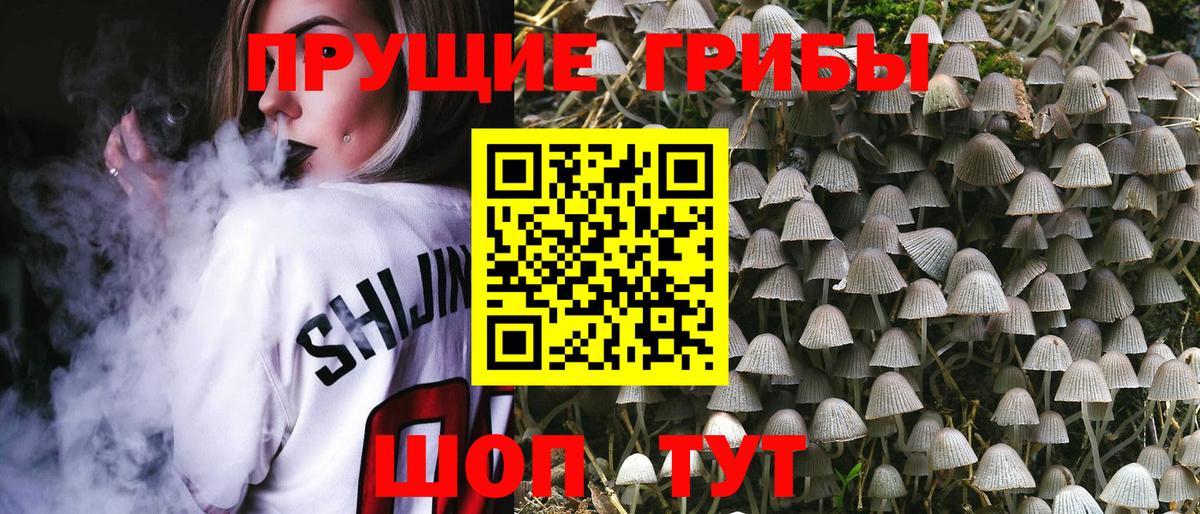 Галлюциногенные грибы Psilocybine cubensis  Галлюциногенные грибы Psilocybe  Воронеж 